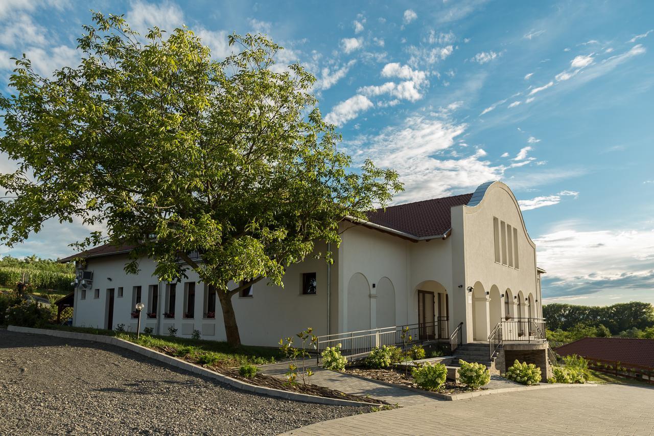 Radhe Resort Es Syam Meditacios Es Rendezvenykozpont Somogyvamos Exterior foto