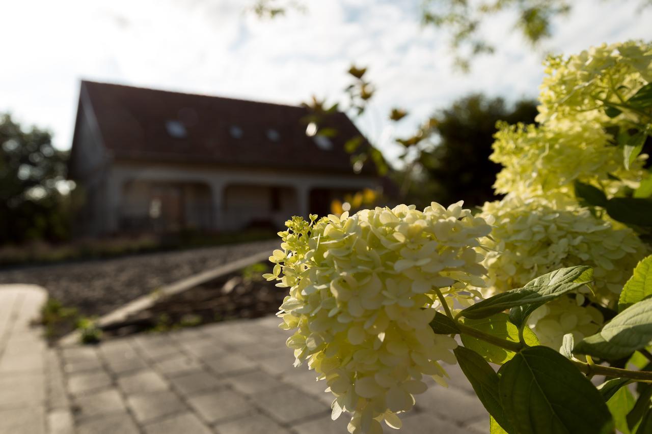 Radhe Resort Es Syam Meditacios Es Rendezvenykozpont Somogyvamos Exterior foto